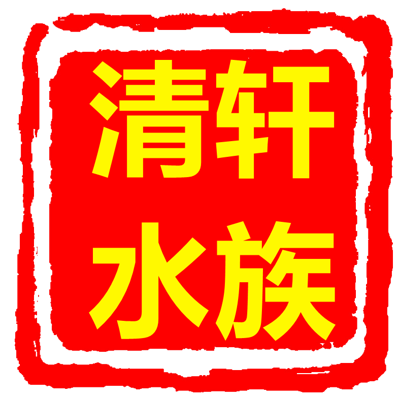 清轩水族企业店