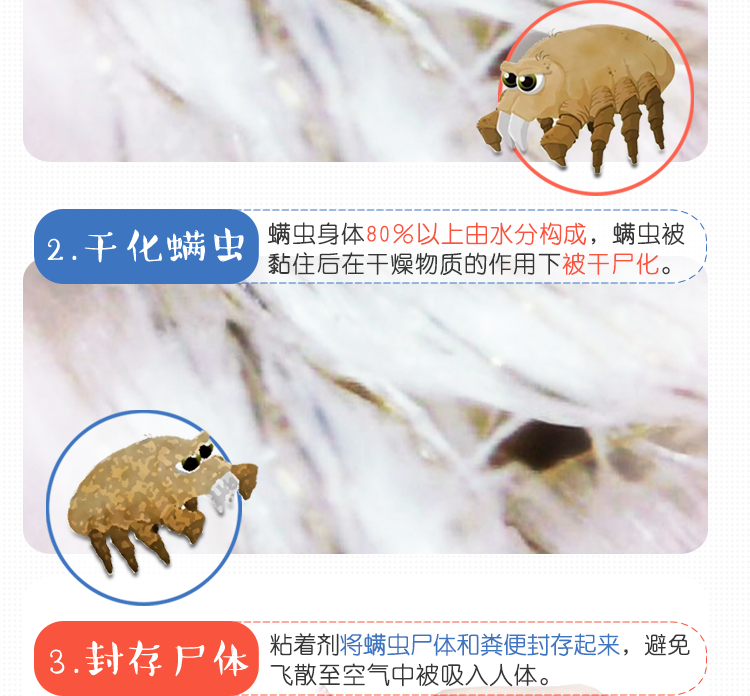 日本进口 TO-PLAN 家用自动除螨贴 2片装 单片可用3个月 图15