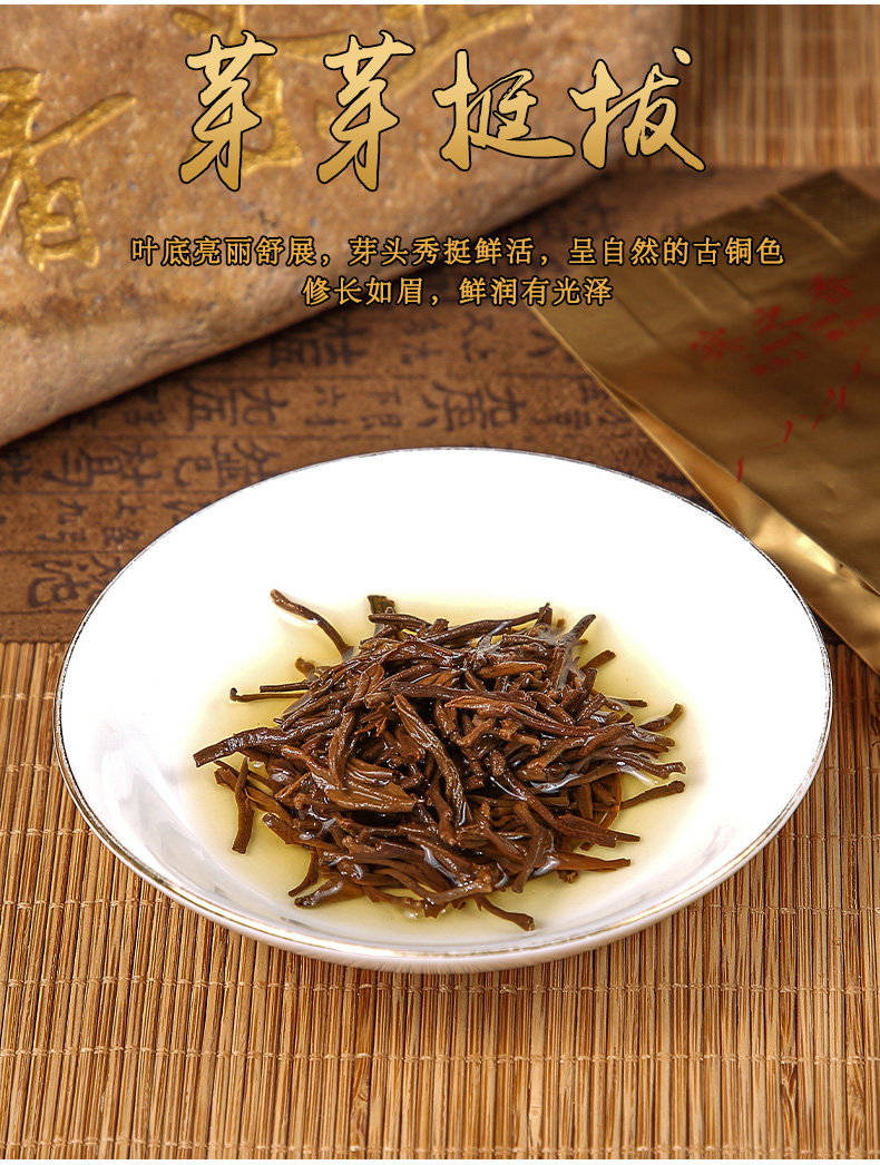 Bin Zhixiang jinjun endbrows_12.jpg