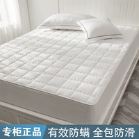 Белые крупные стандарты решетки [23 см и ниже высоты применимы]]