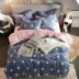 San hô lông cừu giường bốn mảnh phim hoạt hình lông cừu ấm mùa đông flannel quilt bao gồm flannel giường lanh pha lê nhung bộ chăn ga gối đệm cưới everon Bộ đồ giường bốn mảnh