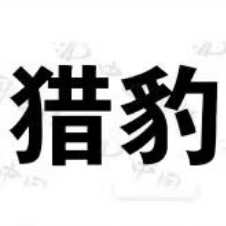 猎豹网校在线教育
