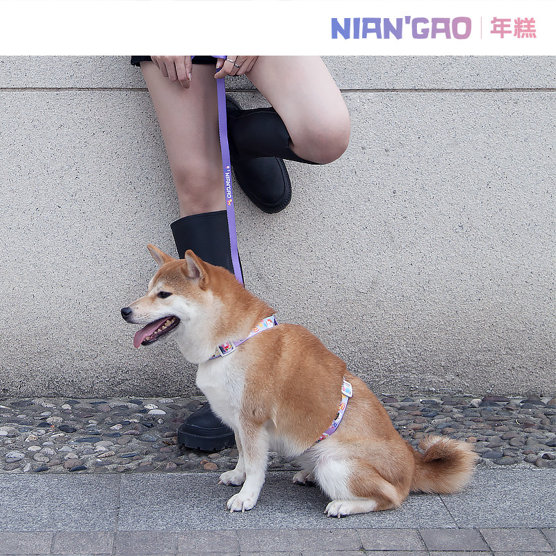 (Rice cake NianGao) dog H-shaped chest holding baby bag pet I-shaped chest and back small and medium-sized dog supplies Teddy
