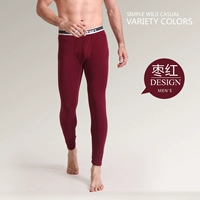 Jujube красный