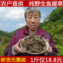 Houttuynia cordata 2021 New Shennongjia wild fresh Houttuynia cordata dried Chinese herbal medicine folding ear root Houttuynia cordata tea