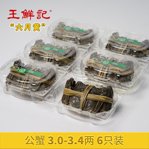 6 whole male crabs Wang Xianji Gaoyou Lake fresh June yellow 3 0-3 4 two spot aquatic hairy crabs River crabs