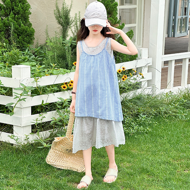 Girls' Summer Dress with Fake Two-Piece Design, 2026 New Stylish Children's Summer Princess Dress, Girls' Plaid Dress
