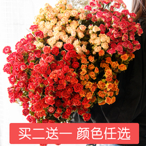 Rose dried flower real flower air-dried natural light luxury bouquet diy material decoration ornaments desktop Nordic home furnishings