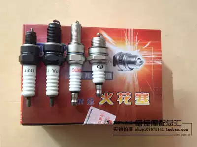 Locomotive spark plug Zhuzhou torch spark plug monopoly 2197 1137 locomotive matching spark plug