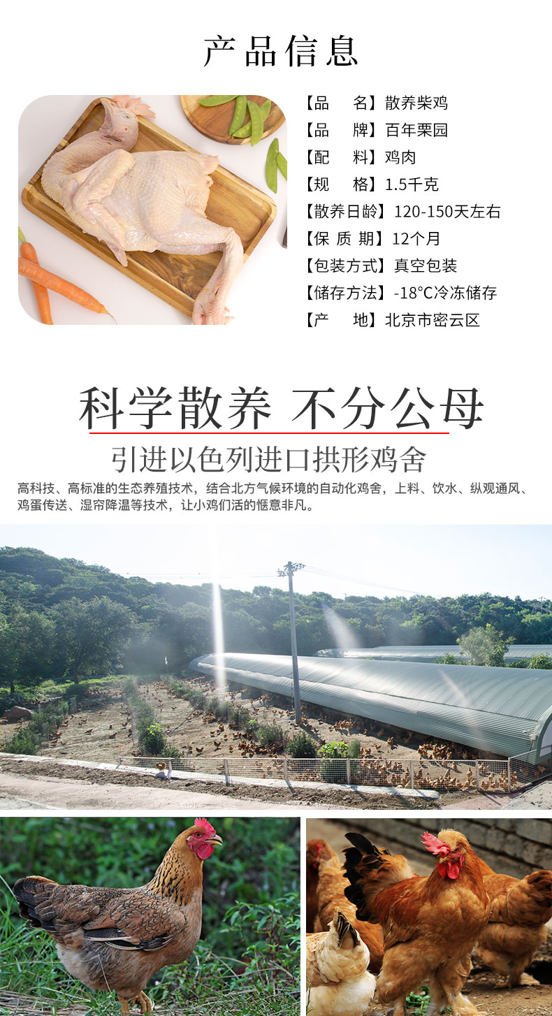 首农旗下 百年栗园 散养柴鸡 3斤*2只 图2