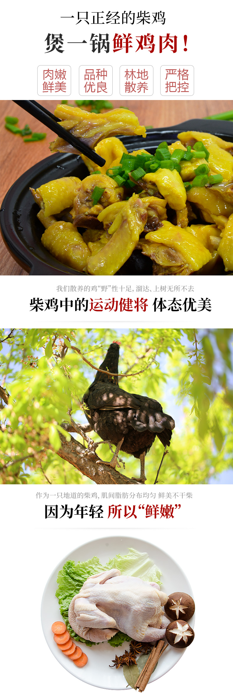 首农旗下 百年栗园 散养柴鸡土鸡 700g*2只 图2