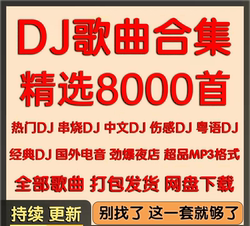 인기있는 DJ 노래 Cantonese DJ 시리즈 Douyin Explosive Electronic Dance Music Collection Car Music MP3 네트워크 디스크 다운로드