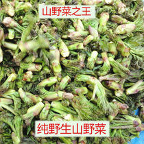 Bagged sprouts wild vegetables wild vegetables wild fresh Old Bud Thorn Dragon vegetables in the northeast of Xiaoxinganling Yichun