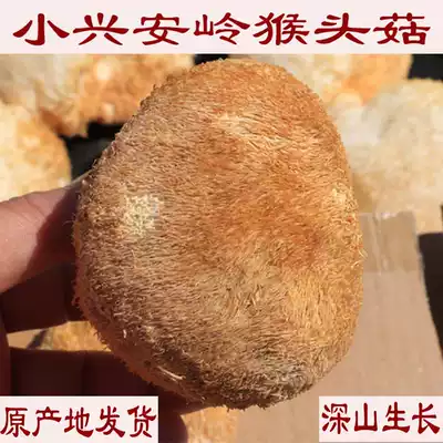 Monkey head mushroom Monkey head mushroom Xiaoxinganling Yichun semi-wild monkey head Northeast monkey head mushroom dried edible mushroom 500g
