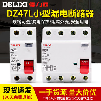 Delixi Electromagnetic Leakage Protector Dz47L Household 2P 32A Leakage Protection 40A 63A Air Switch Circuit Breaker