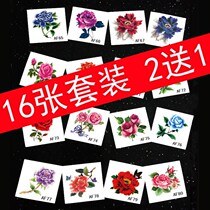 Feather tattoo sticker female waterproof sexy simulation personality rose pattern abdomen clavicle concealer body sticker