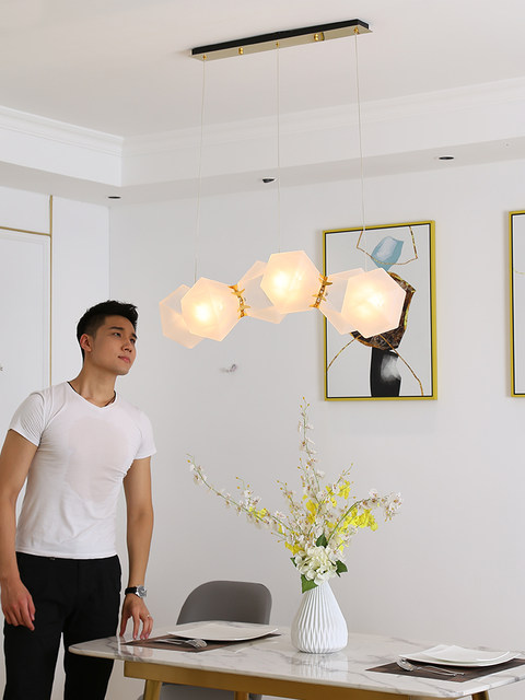 Postmodern Minimalist Restaurant Lamp Nordic Front Desk Creative Personality Bar Clothing Store Cafe Designer Long Pendant Lamp