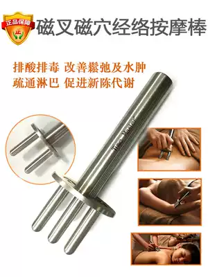 TimeMaster magnetic fork magnetic magnetic meaning two trigeminal beauty meridian massage stick lymphatic detoxification magnetic therapy acid Rod
