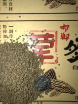 Profiled Fish Benthic Fish Rat Fish Sink Bottom Feed Monarch Maze l333 Queen Snowball L471