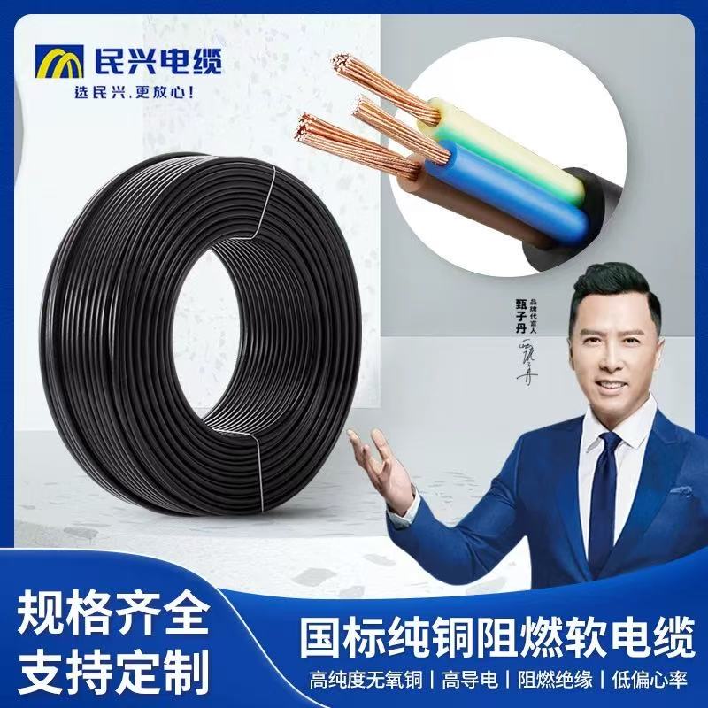 Dongguan Minxing Rvv2/3 Core 2.5/4/6 Square National Standard Black Sheathed Cable Power Control Cable Wire