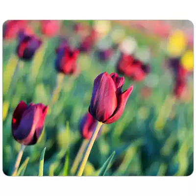 Flowers, trees, mouse mats, tulips, bracts, DIY mouse mats, 18*22*0 3cm