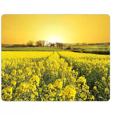 Flower and tree mouse pad rape rape field DIY mouse pad specification 20*26*0 5 thick pad