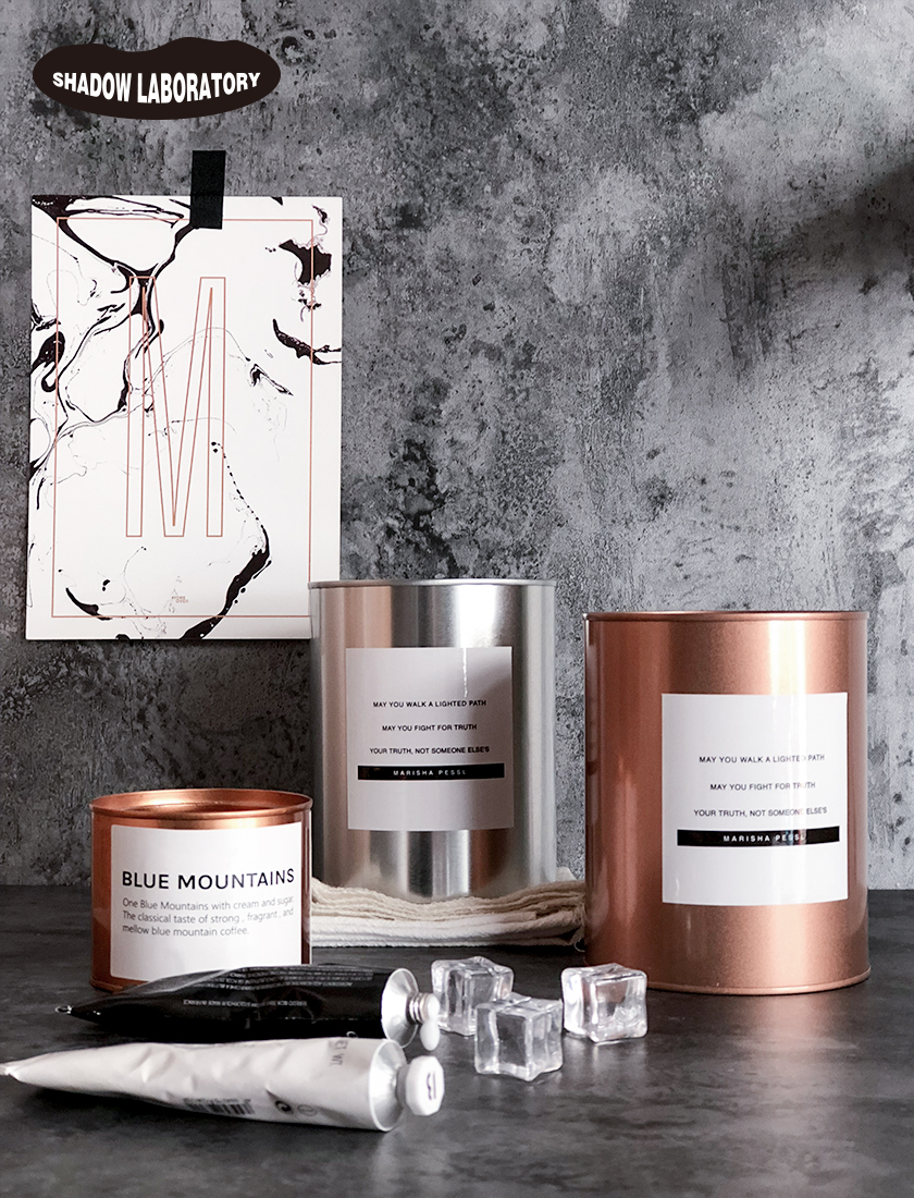 ins wind Nordic plants tin pot pot cold wind storage pot Cactus fleshy piano leaf Banyan tin pot flower pot