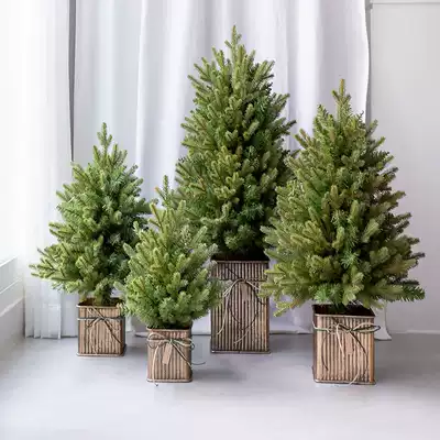 Christmas tree decorations luxury home desktop ornaments simulation 4560 75 90cmPE hybrid encryption Christmas tree