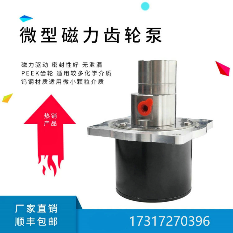 PH-resistant Chemical Solvent Micro Gear Metering Pumps MAGNETOMETRIC PUMP GEAR HYDRAULIC OIL PUMP HIGH VISCOMETER MASS PUMP