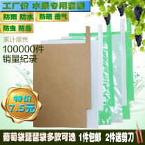 Grape special bagging white paper bag anti-rainwater insect-proof bird breathable loquat bag packaging bag