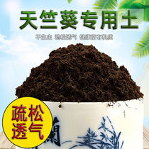 Pelargonium special soil soil nutrient soil general soil planting soil organic soil flower weak acid fertilizer