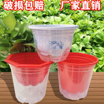 Green Luo lazy water absorbent flower pot potted automatic plastic transparent self-priming basin hydroponic special clearance large