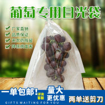 Grape bag special bag dragon fruit Lotus mist pomegranate lychee bag Sun bag fruit bag fresh bag