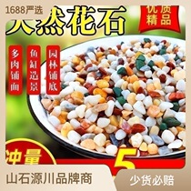 Natural colorful small stones succulents potted plants paving stones plant decoration fish tank landscaping small stones