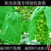 Sunshine rose grape special green bag open air grape waterproof insect-proof bird protection fruit bag