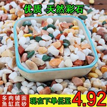 Rain stone rough stone Natural multicolored stone Fleshy paving stone Gardening landscaping flower pot stone pebbles fish tank bottom sand
