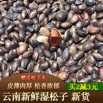 Yunnan specialty fresh raw pine nuts 500 grams original flavor 2020 new goods do not open thin shell falling water pine seeds nut kernels