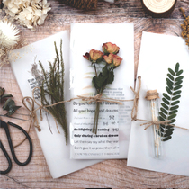 Creative Retro Hand Tent Sticker Material Handpainted Botanical Institute Dry Flower Set Sticker Bag Travel Hand Ledger decoration