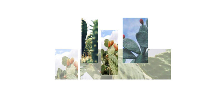 Maillot de bain pour femme - Ref 3029493 Image 26