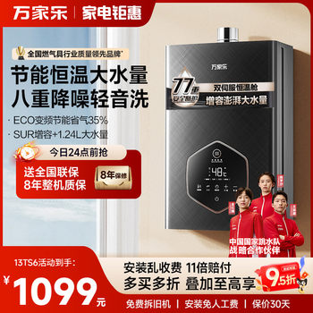 Midea Ts6/P3 Gas Water Heater for Home Use, Natural Gas, Energy-Saving, Constant Temperature, Fast Heating, Forced Exhaust Type, Silent, 13/16L