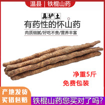 Henan Twin County Iron Stick Yam Fresh Zhengzong First Dig Yams Yam Huaiyams 5 Catty Food Products Homologous