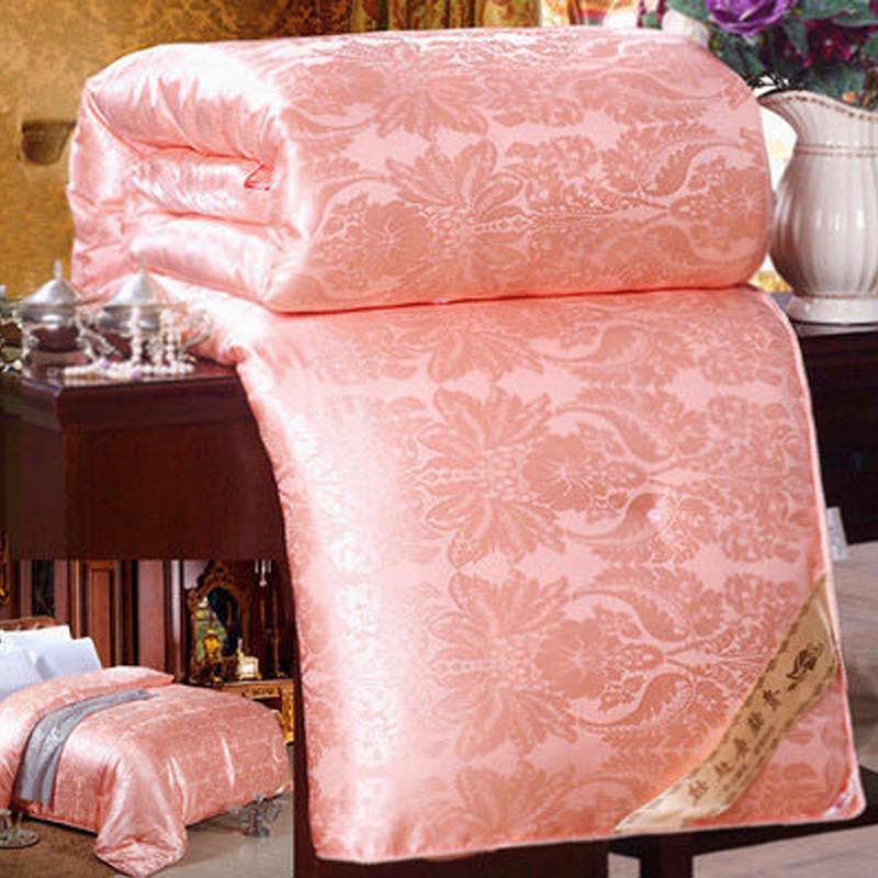 Winter thickened quilt core quilt Winter warm quilt Student double air conditioning quilt Spring and autumn and winter quilt special price