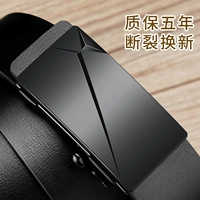 ⭐ Основная картина 款