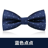 F11 Fashion Blue Dot