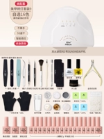 Высокая конфигурация [набор фонарейных фонарей 9] (выбран 16 цветов)