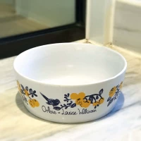 Плоская миска с простым узором, произвольные цвета, 13х5см.