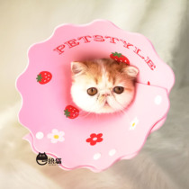 Cartoon Printed Elizabeth Circle Candy color cute and light anti-licking kitty Puppy dog Item Circle Neck Cover Headgear