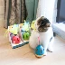 Elite Yili pet tumbler toy lông chuông âm thanh mèo vui mèo dính đồ chơi - Mèo / Chó Đồ chơi