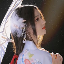 Super fairy adult ancient style feather tassel hair clip Hanfu side clip Girls daily wild headdress Hair accessories costume accessories