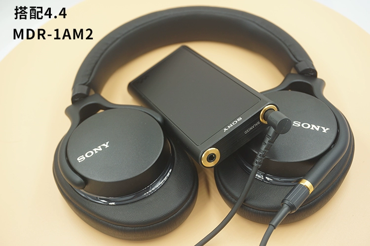 Sony / Sony NW-ZX300A ZX300 máy phát nhạc nhỏ màu đen hi-res4.4 - Trình phát TV thông minh